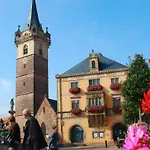 Gite Pres De Strasbourg Terre D'Helene 42 M2, 3 Etoiles, 4-5 Personnes Apartment Berstett