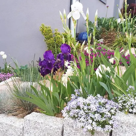 Gite Pres De Strasbourg Terre D'Helene 42 M2, 3 Etoiles, 4-5 Personnes *