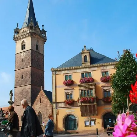 Terre D'helene 3 - 4 Pers Proche Strasbourg 42 M2, 3 Etoiles, Wifi, Paisible, Jardin, Proche Commerces,16 Atouts, Animaux Acceptes Apartament Berstett