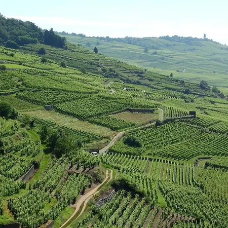 Appartamento Terre D'helene 4 à 5 Pers Proche Strasbourg 42 M2, 3 étoiles, Wifi, Paisible, Jardin, Proche Commerces,16 Atouts, Animaux Acceptés Berstett