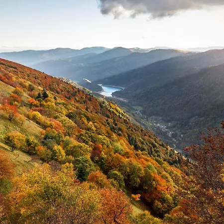 Terre D'helene 3 - 4 Pers Proche Strasbourg 42 M2, 3 Etoiles, Wifi, Paisible, Jardin, Proche Commerces,16 Atouts, Animaux Acceptes * Berstett