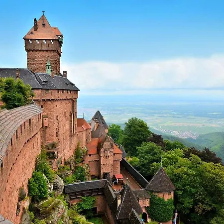 Terre D'helene 3 - 4 Pers Proche Strasbourg 42 M2, 3 Etoiles, Wifi, Paisible, Jardin, Proche Commerces,16 Atouts, Animaux Acceptes Apartament *