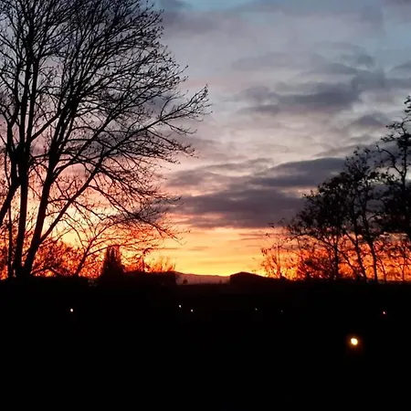 Terre D'helene 3 - 4 Pers Proche Strasbourg 42 M2, 3 Etoiles, Wifi, Paisible, Jardin, Proche Commerces,16 Atouts, Animaux Acceptes * Berstett