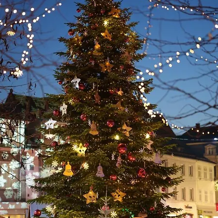 Pres De Strasbourg Terre D'helene 42 M2, 3 Etoiles, 4-5 Personnes Lägenhet *