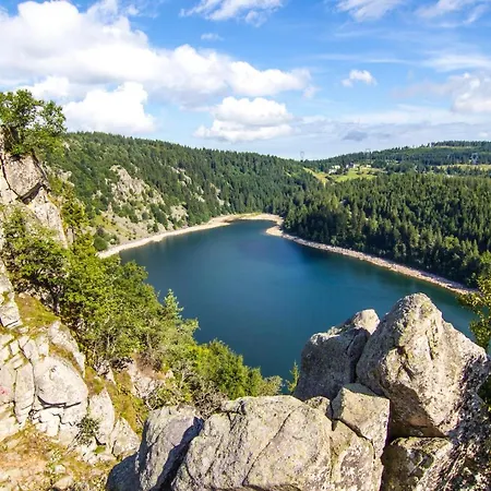 Terre D'helene 3 - 4 Pers Proche Strasbourg 42 M2, 3 Etoiles, Wifi, Paisible, Jardin, Proche Commerces,16 Atouts, Animaux Acceptes