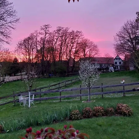 Terre D'helene 3 - 4 Pers Proche Strasbourg 42 M2, 3 Etoiles, Wifi, Paisible, Jardin, Proche Commerces,16 Atouts, Animaux Acceptes * Berstett