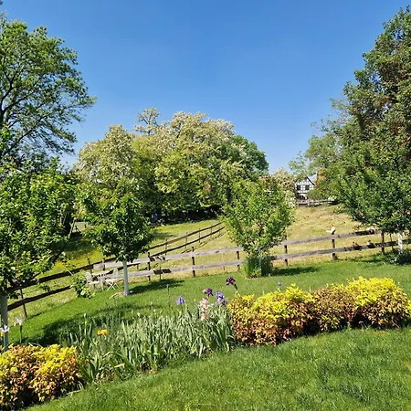 Terre D'helene 4 à 5 Pers Proche Strasbourg 42 M2, 3 étoiles, Wifi, Paisible, Jardin, Proche Commerces,16 Atouts, Animaux Acceptés Appartamento