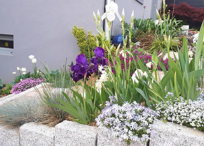 Terre D'helene 4 à 5 Pers Proche Strasbourg 42 M2, 3 étoiles, Wifi, Paisible, Jardin, Proche Commerces,16 Atouts, Animaux Acceptés *