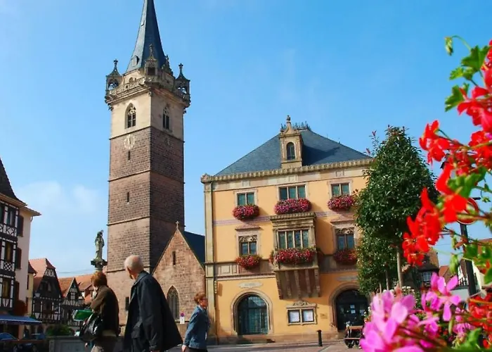 Terre D'helene 3 - 4 Pers Proche Strasbourg 42 M2, 3 Etoiles, Wifi, Paisible, Jardin, Proche Commerces,16 Atouts, Animaux Acceptes Lägenhet Berstett