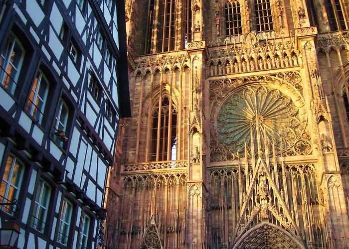 Lägenhet Terre D'helene 3 - 4 Pers Proche Strasbourg 42 M2, 3 Etoiles, Wifi, Paisible, Jardin, Proche Commerces,16 Atouts, Animaux Acceptes