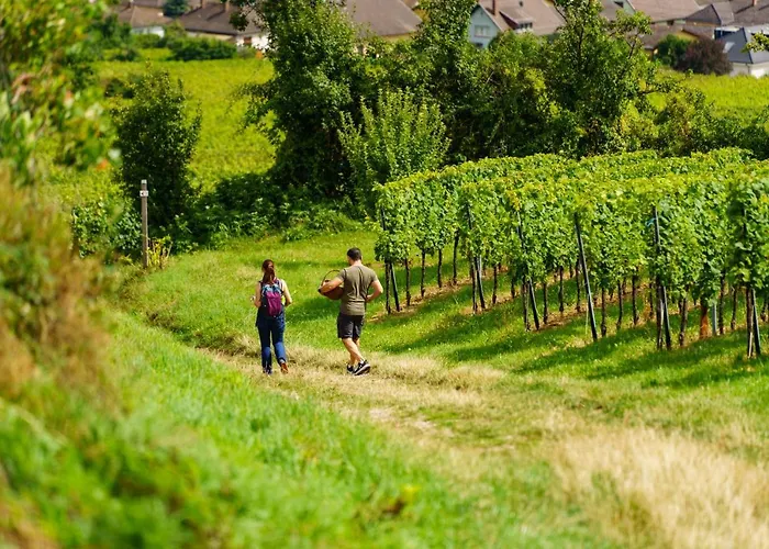 Lägenhet Terre D'helene 3 - 4 Pers Proche Strasbourg 42 M2, 3 Etoiles, Wifi, Paisible, Jardin, Proche Commerces,16 Atouts, Animaux Acceptes Berstett